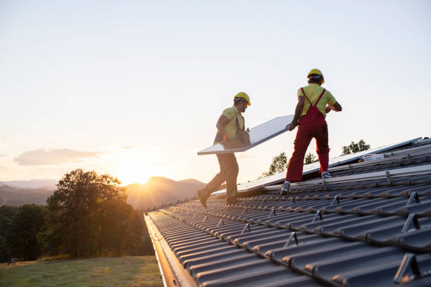 Best Roof Insulation Installation  in Hinsdale, IL